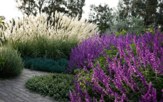 garden-designer-320x200