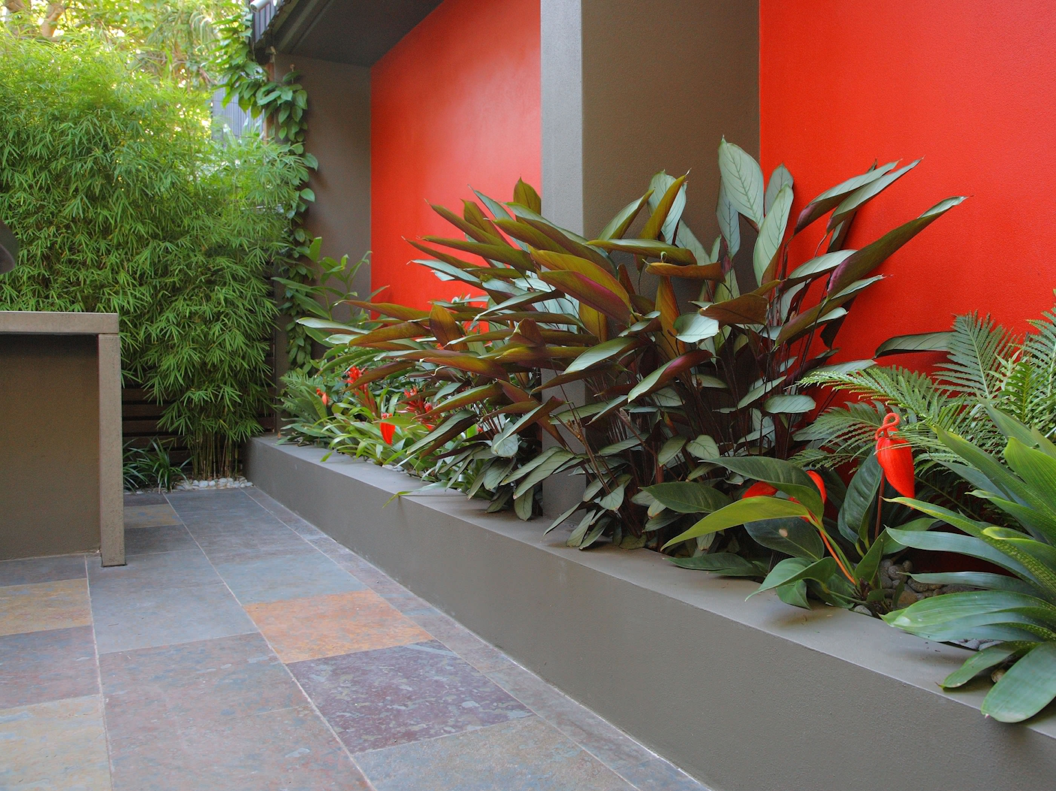 Large format slate Lichen split stone tiles with garden bed alongside red feature wall