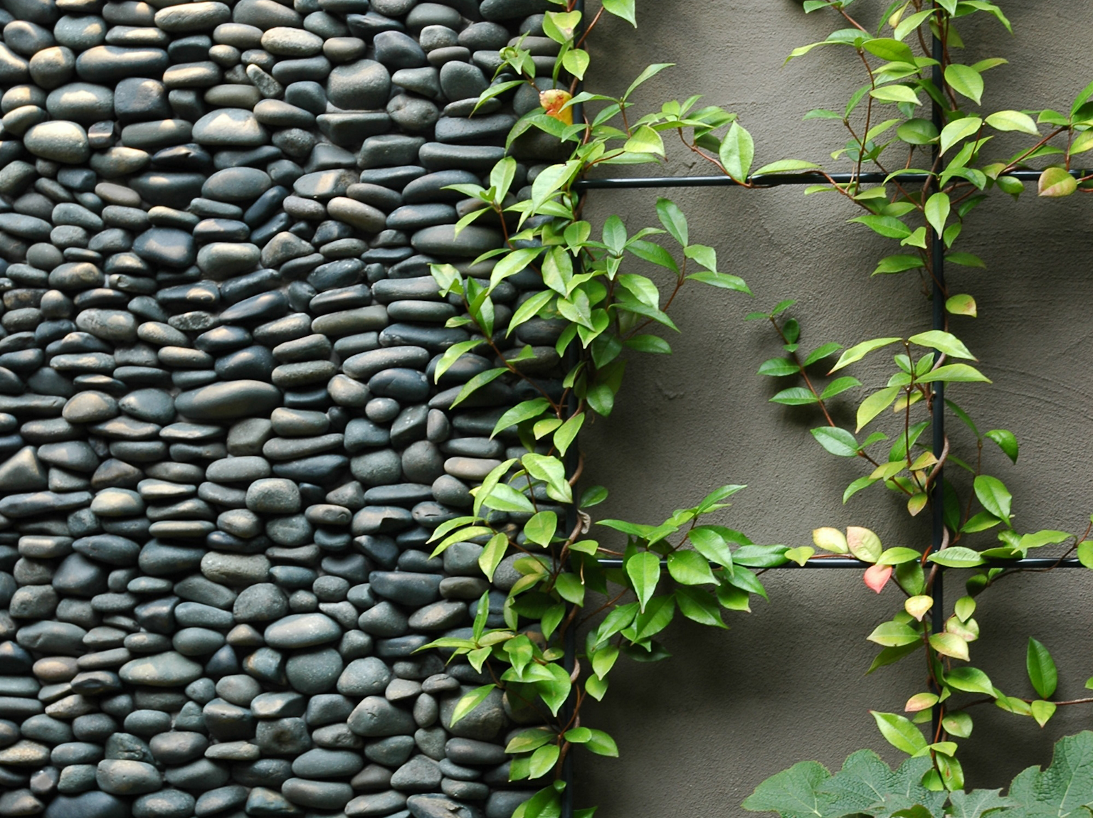 Eden pebble wall aligns with trellis in an organic style garden