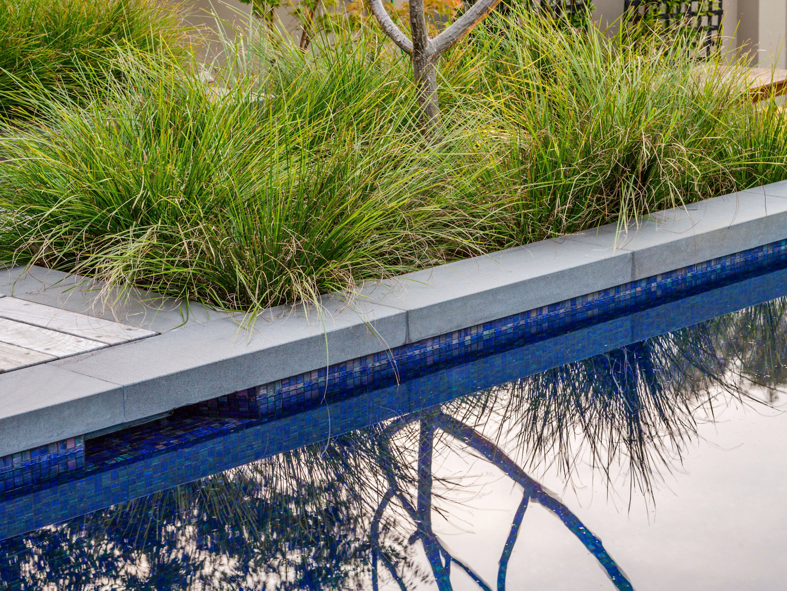 Bluestone rebated coping units at pool edge with timber decking surround