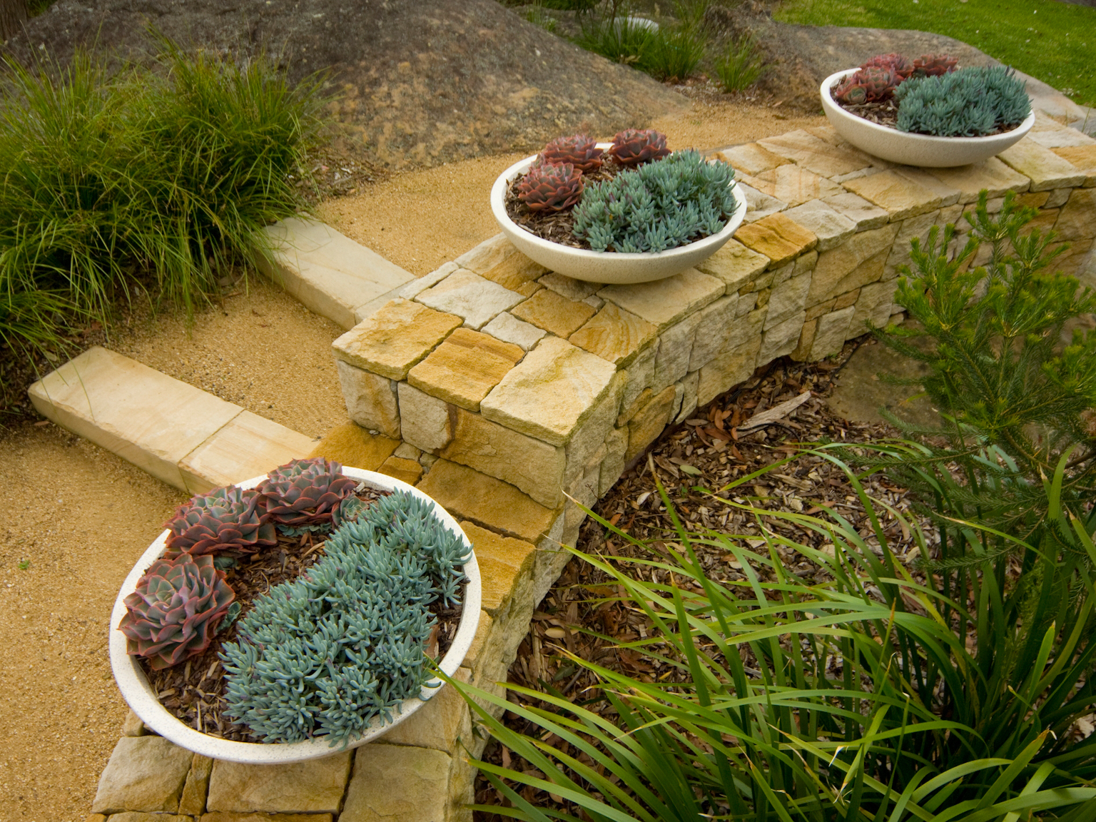 Killcare random ashlar sandstone retaining wall with succulent planter bowls