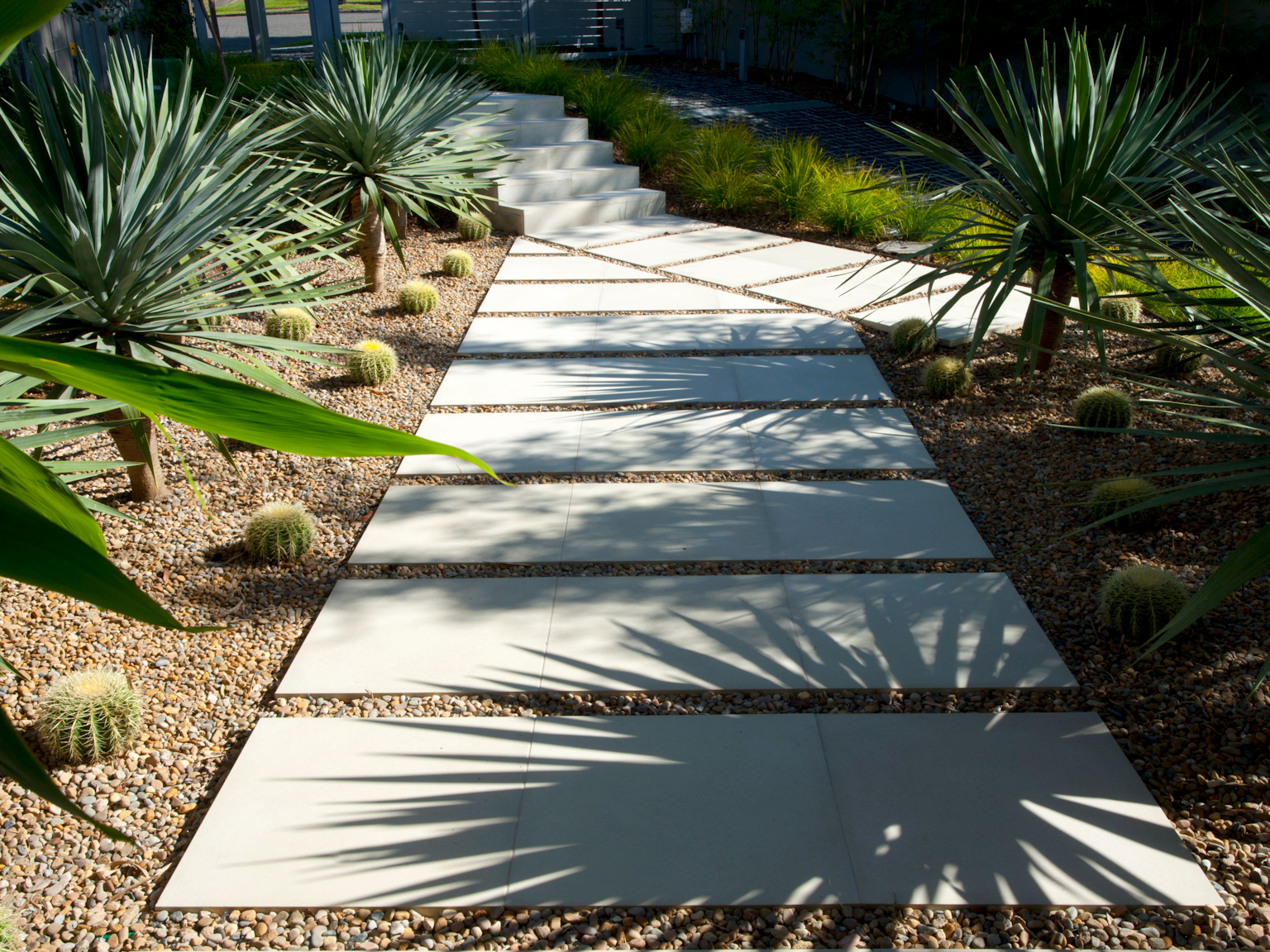 Low angle view of Cashmere concrete pavers used as stepping stones with loose pebbles through cactus garden