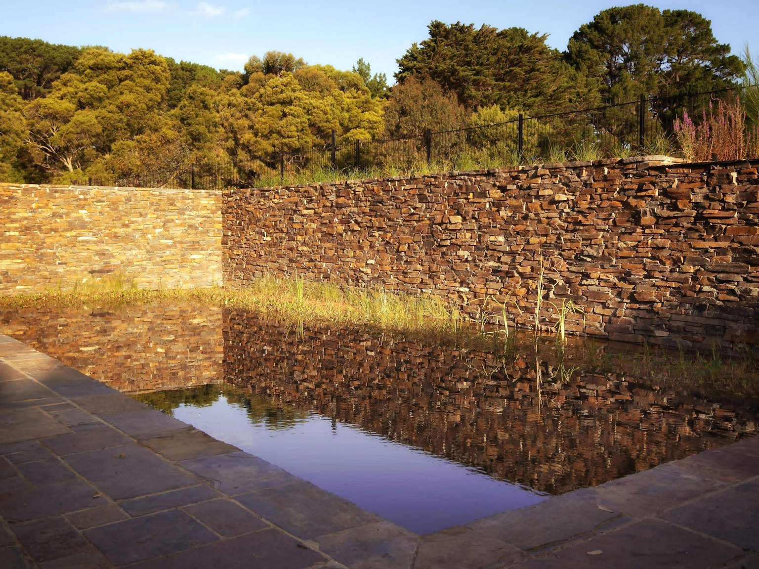 Badger dry stone walling as two feature walls in organic billabong style pool with Myrtle paving surrounding the area