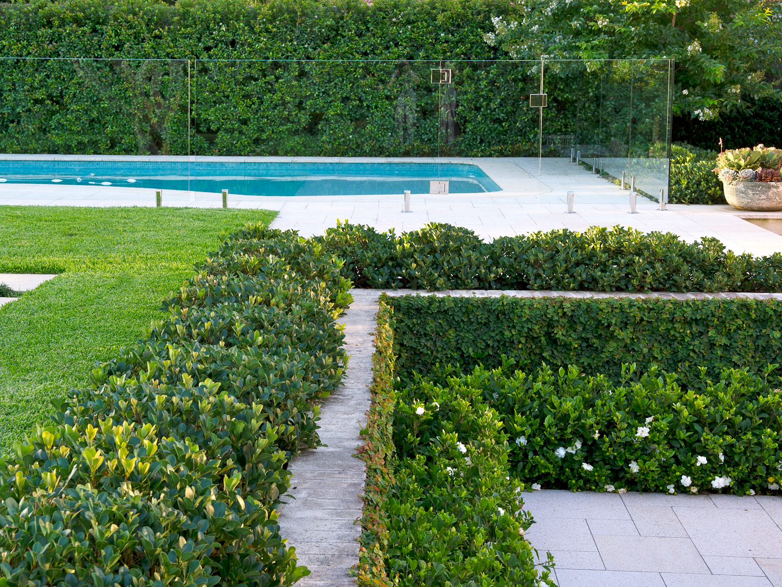 Gardens with low hedging and manicured grass with paved area in Tortoise granite and pool area in background