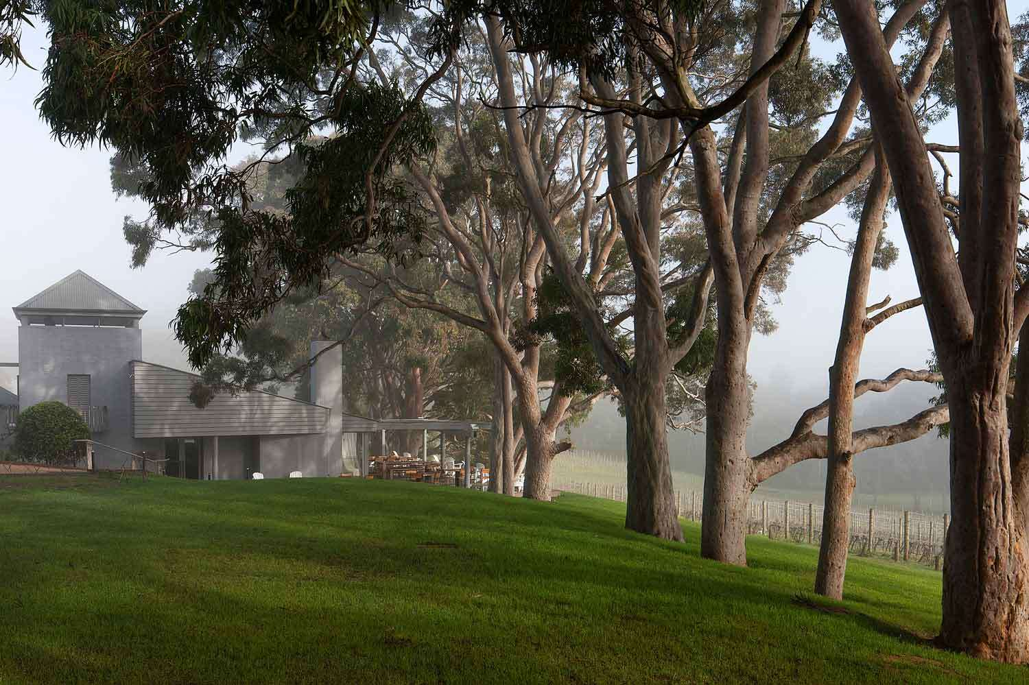  THE TRANQUIL LANDSCAPE OF WHERE THE CELLAR DOOR AND BISTRO RESIDES